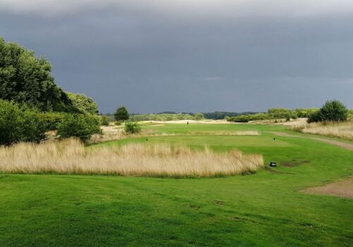 Golfplatz mit grünem Fairway, hohem Gras am Rand und bewölktem Himmel